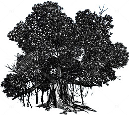 手绘线条大榕树