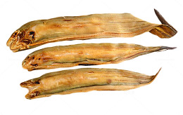 黄色海鲜美味鳗鱼干