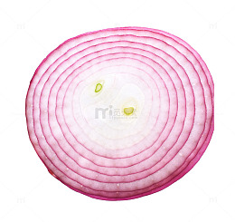 紫色洋葱头几何圆纹路