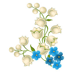 白色风铃花矢量图