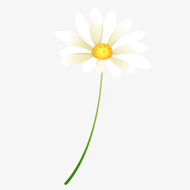 白色小花素材