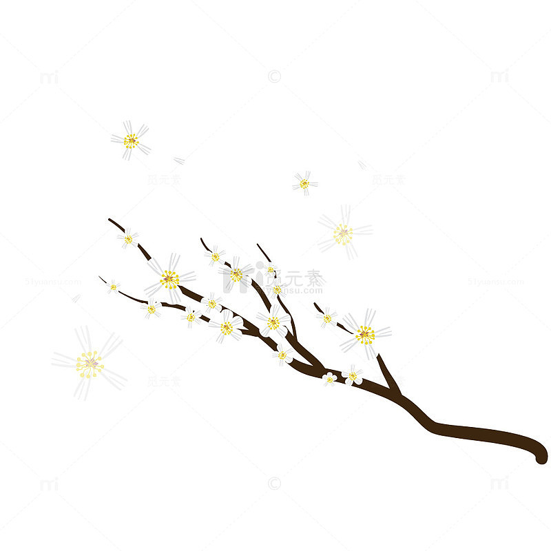 白色樱花树枝浪漫素材