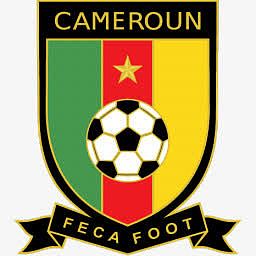 喀麦隆2014 -世界-杯图标