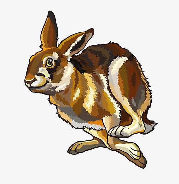 手绘奔跑中的兔子