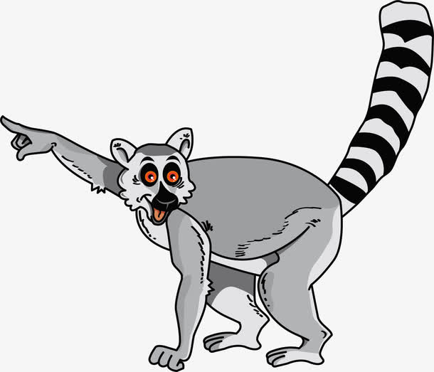 环尾狐猴卡通形象图片