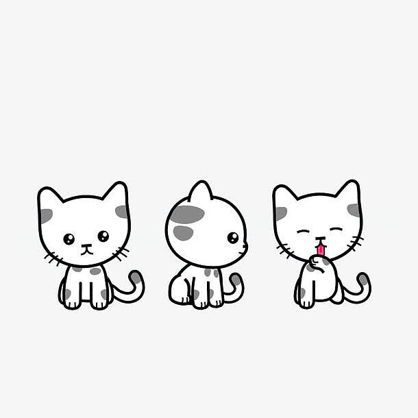 三只形态各异的小猫