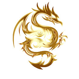 飞舞的龙