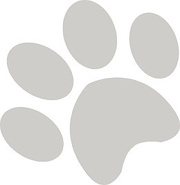 卡通可爱灰色猫爪印图标矢量图
