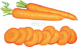 手绘蔬菜