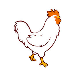 卡通手绘白色的公鸡