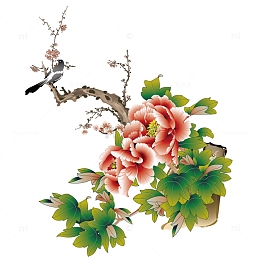 洛阳牡丹