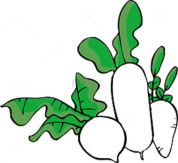 萝卜叶卡通手绘萝卜叶