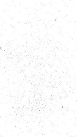 一滩白水