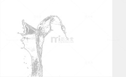 一滩白水