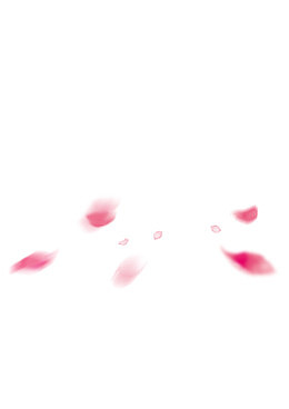 花瓣