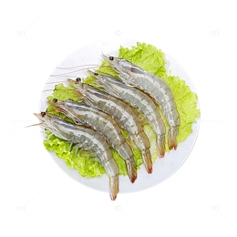 产品实物食物原料生菜冰虾