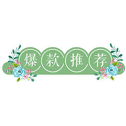 绿色清新电商爆款推荐促销标签