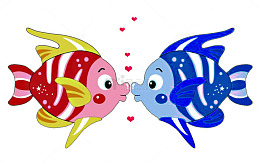 红色和蓝色的亲嘴鱼