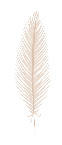 卡通简约羽毛装饰设计