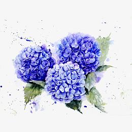 手绘水彩蓝色丁香花插画免抠