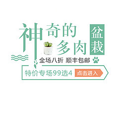 盆栽 植物