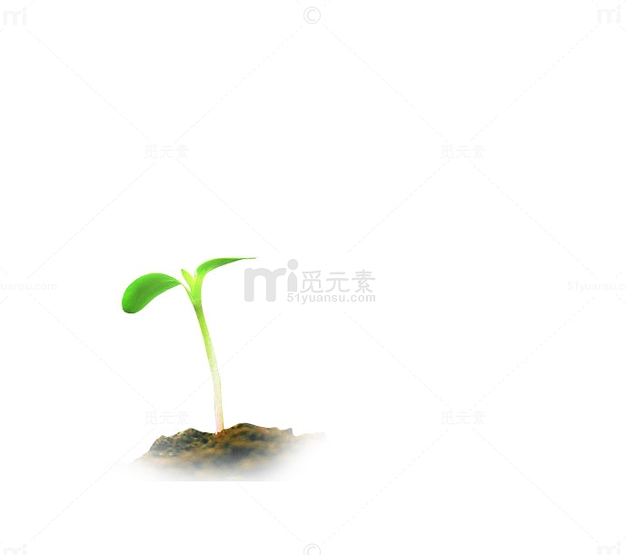 小清新小树芽漂浮