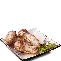 野生新鲜松茸免扣