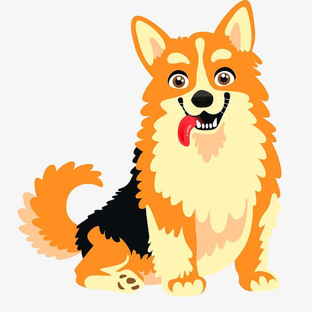 橙色毛发的卡通柴犬