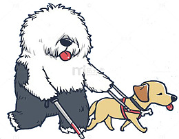 牵着导盲犬