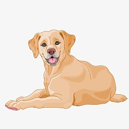 pngpngpng公园遛狗pngpng卡通手绘拉布拉多寻回犬pngpng卡通小狗png