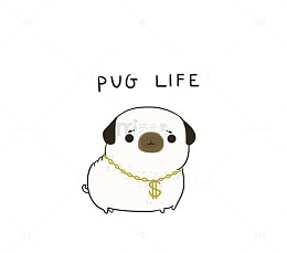 卡通沙皮犬