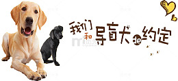 和导盲犬的约定