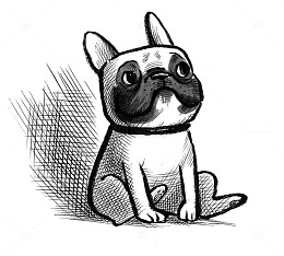 素描小狗