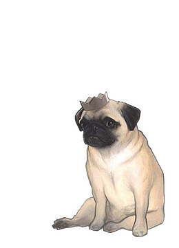 手绘沙皮犬