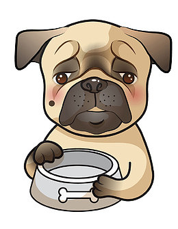 拿着空盘子的哈巴狗