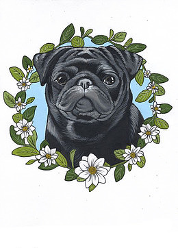 卡通沙皮犬