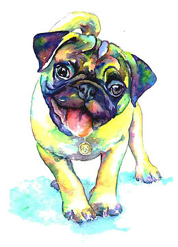 水彩沙皮犬