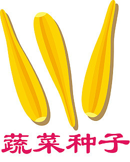 花生种子子叶破土的种子