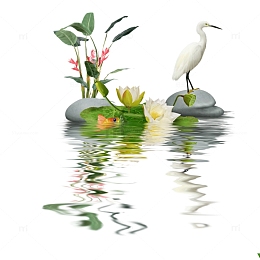 莲花荷花湖边倒影装饰图案