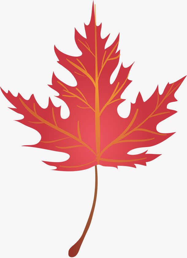 矢量图水彩红色枫叶