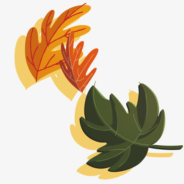 秋天的叶子插画