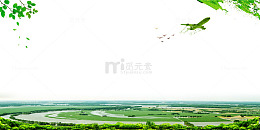 绿色清新爱护环境生态海报背景