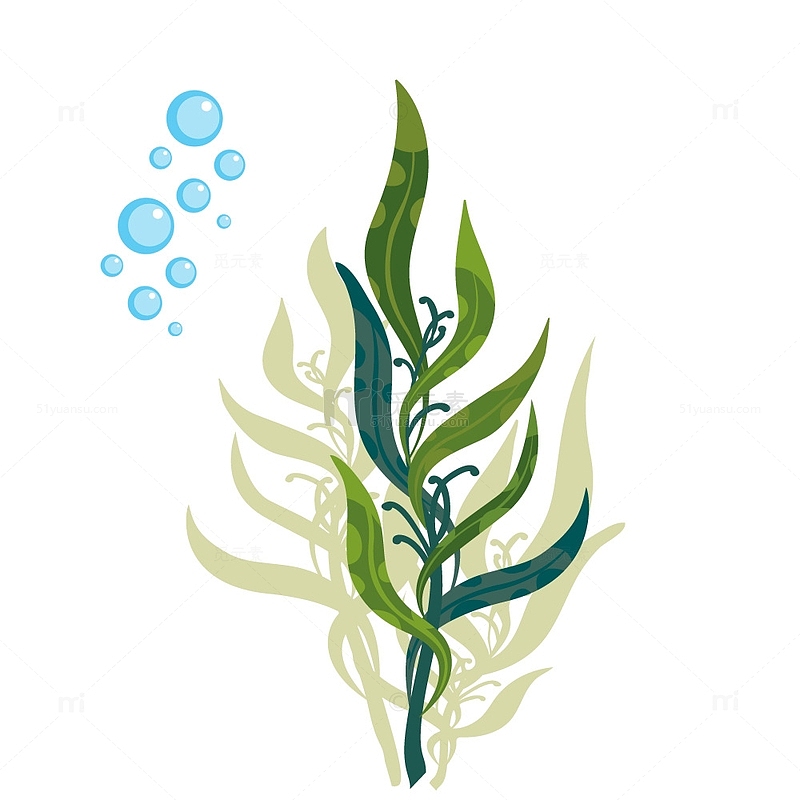 绿色海草植物泡泡