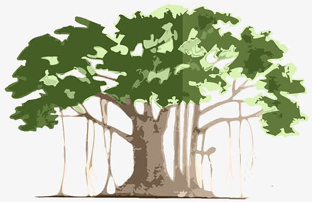 手绘绿色环保孟加拉古榕树矢量图