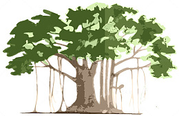 手绘绿色环保孟加拉古榕树矢量图