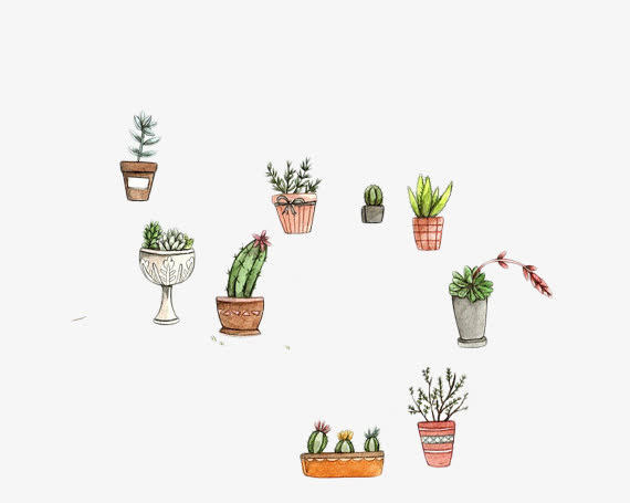 各种手绘绿植小盆栽