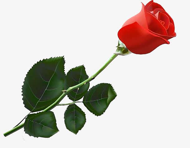 关键词 : 红玫瑰,一只玫瑰,一只红玫瑰,单只玫瑰[声明] 觅元素该素材