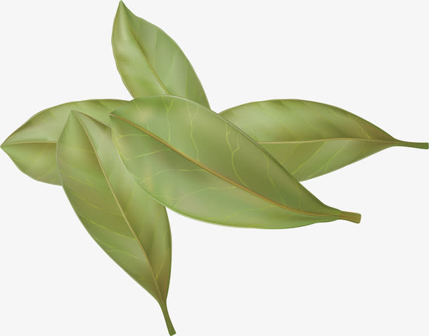 桑叶火锅食物佐料