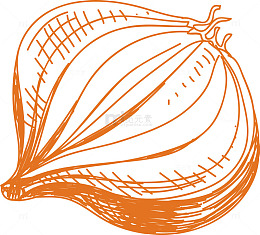 洋葱粉火锅食物香料