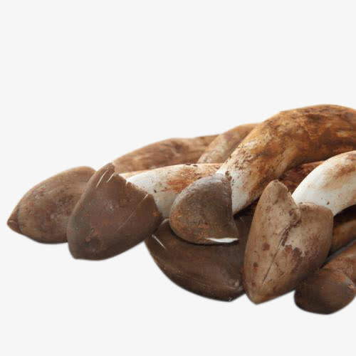 家常菜凉菜熟食鸡枞菌